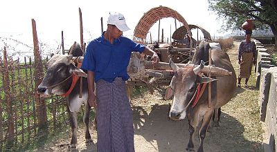 Burma’s Christian Civilians Attacked During Christmas