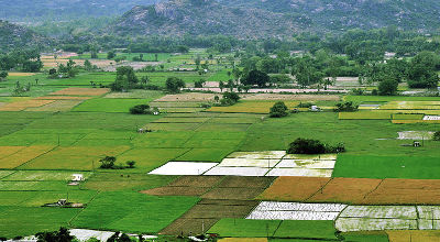 farmland in Nadu, India