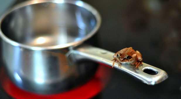 Humanism: The Proverbial Frog in Boiling Water