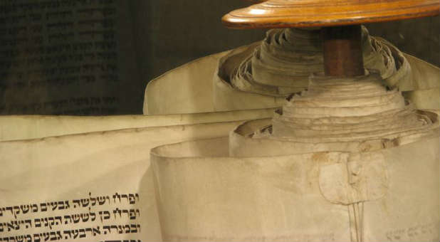 The Torah scrolls.