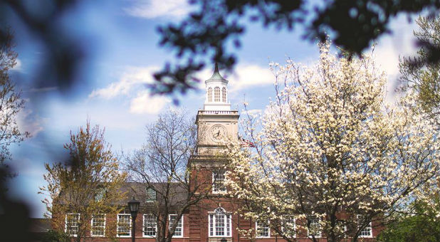 Police at Austin Peay State University in Tennessee have removed six rainbow colored nooses—widely seen as a symbol of racial hatred—hanging from a tree on campus, the school said.