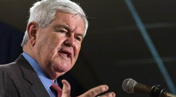 Newt Gingrich Wants a Congressional Investigation