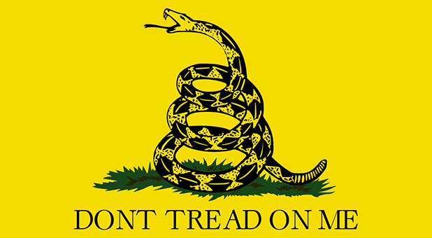 Gadsden Flag