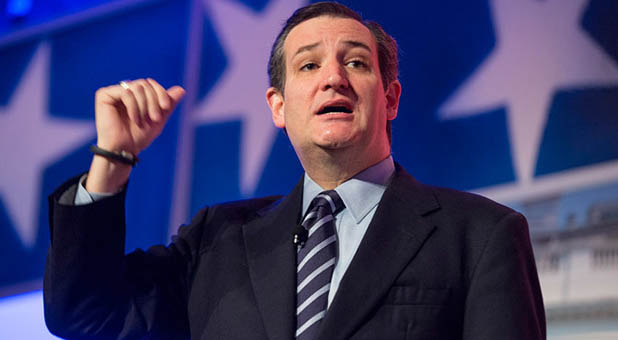 Ted Cruz: Shut Down the Refugee Program