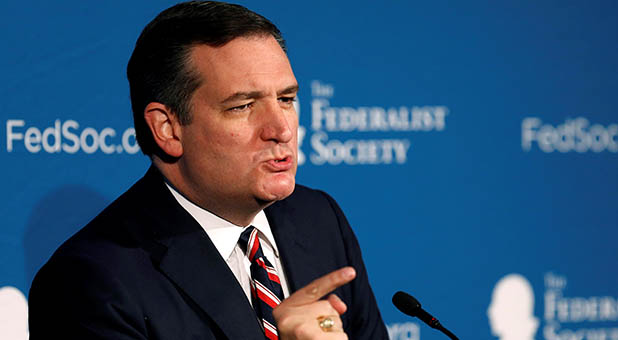 Ted Cruz Will Push for Term Limits in New Congress