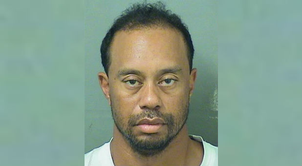 Tiger Eldrick Woods appears in a booking photo released by Palm Beach County Sheriff's Office in Palm Beach, Florida.