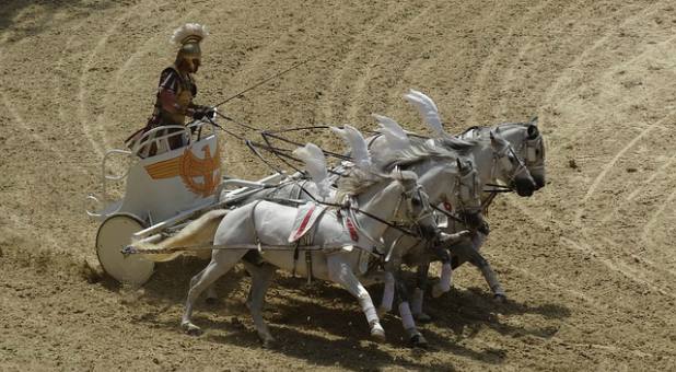 2020 11 chariot race horses