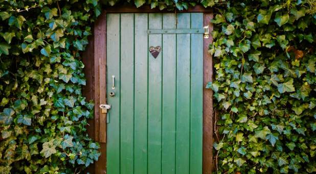 2017 spirit garden ivy door green