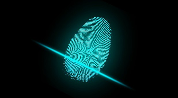 2017 blogs Prophetic Insight fingerprint blue