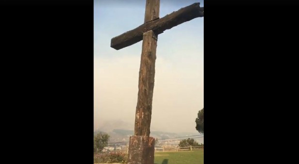The Ventura cross