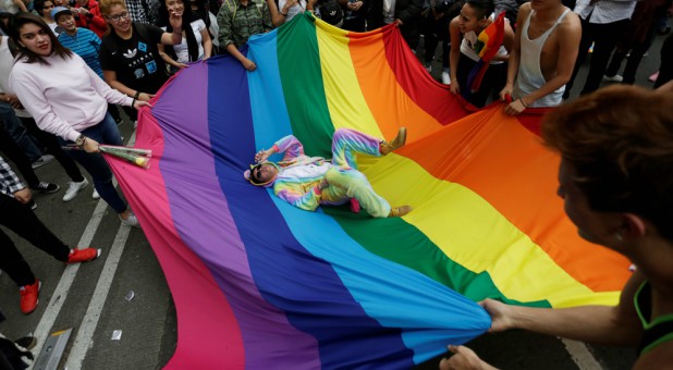 Members of the LGBT community carry a rainbow flag.