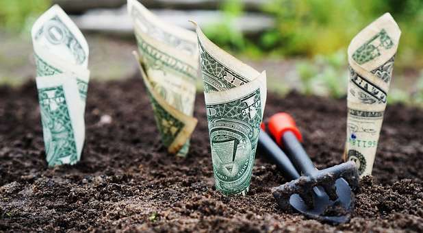2019 blogs Strang Report money planting