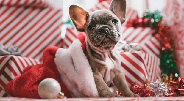 How to De-Stress and Be Merry This Christmas