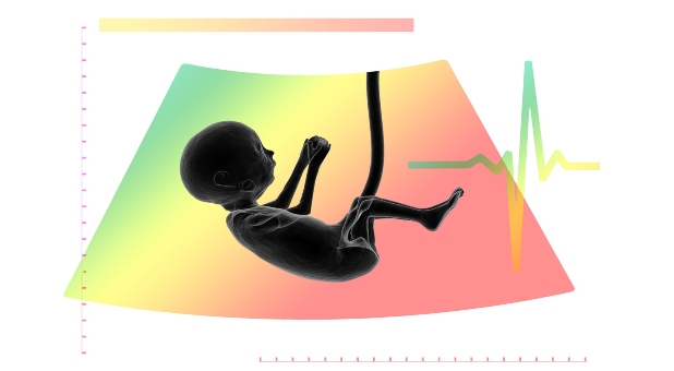 Aborted Human Remains Used in the Production and Testing of Vaccines