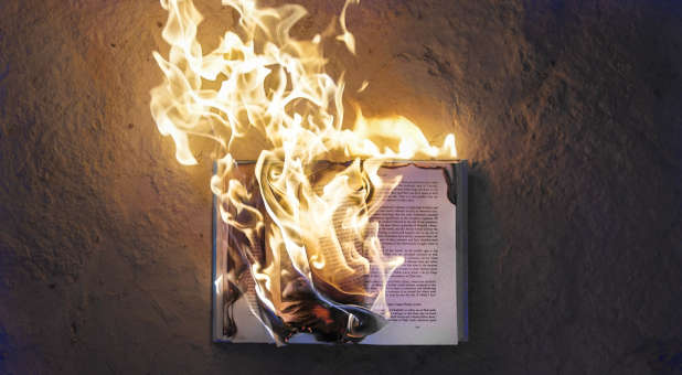 Amazon Engages in ‘Digital Book Burning’