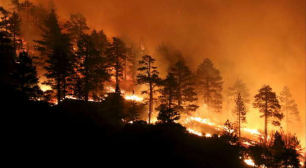 2022 8 Reuters CA Wildfire