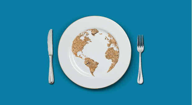 2022 10 Snyder Global food crisis