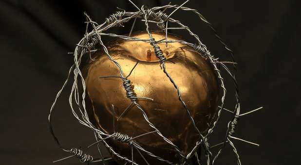 golden apple surrounded by barbed wire