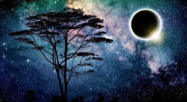 solar eclipse, stars and tree
