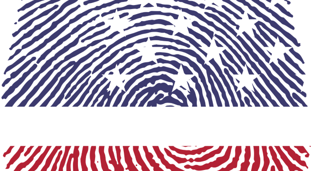 part of a fingerprint in red, white and blue