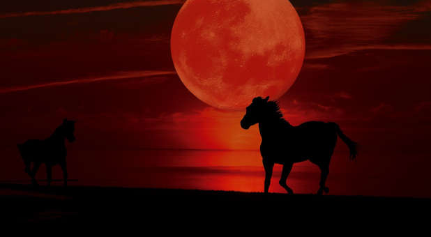 Blood moon and horses