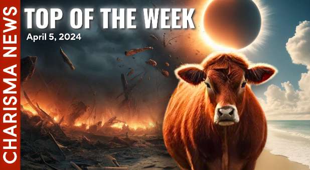 Top of the Week: Temple Institute Reveals Plans for Red Heifer Ceremony