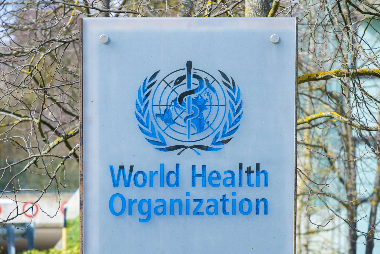 World Health Organization’s Controversial Pandemic Treaty Fails, but Here’s What’s Next