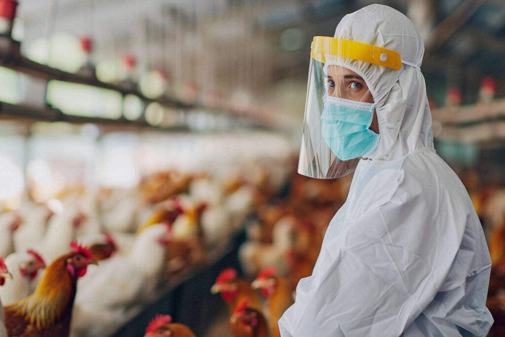 First Human Death from H5N2 Avian Influenza Sparks Global Fears