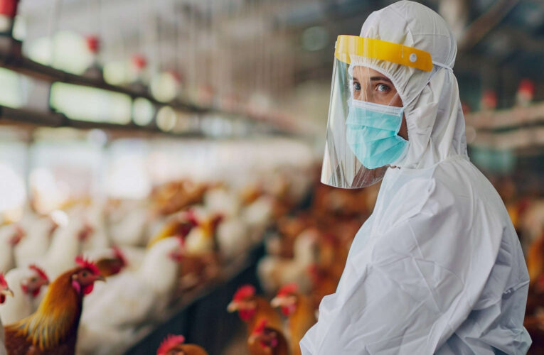 First Human Death from H5N2 Avian Influenza Sparks Global Fears