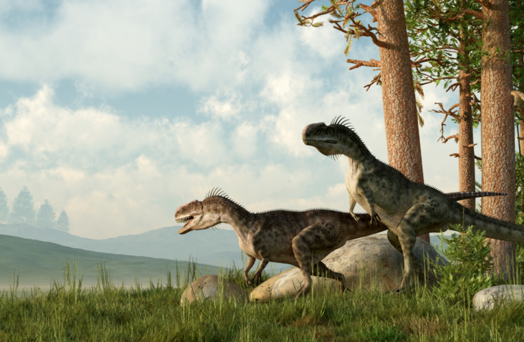 What Christians Need to Know About Dinosaurs and Faith