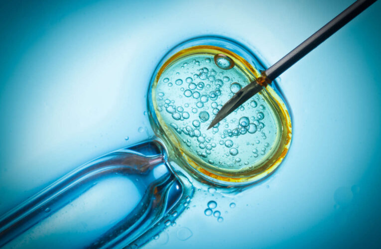 SBC Opposes Use of IVF in Latest Vote