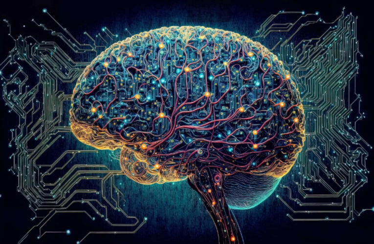 ‘Organoid’ Human Brains, Lab-Grown for Powering AI