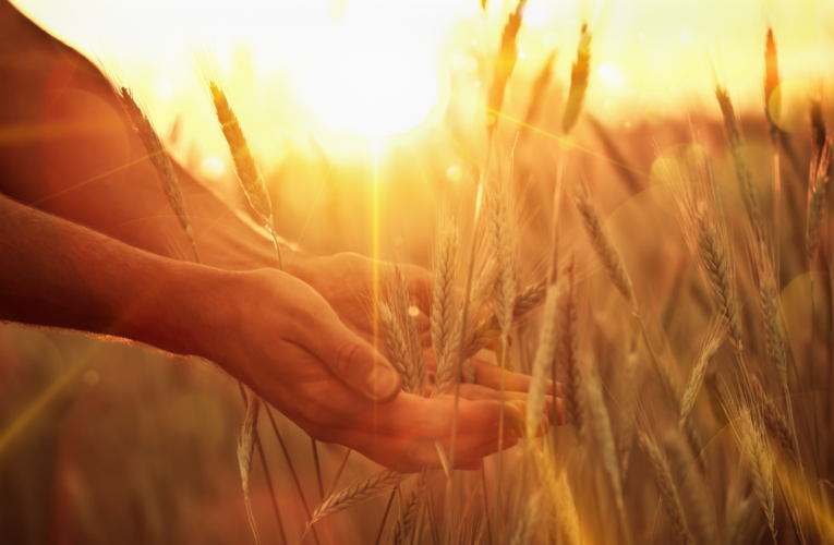 Are We in a Seven Year Time Period of Divine Harvest?