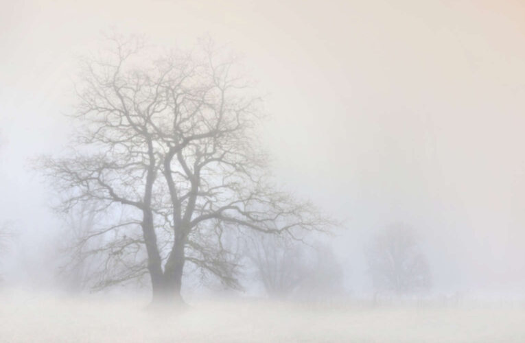 What Is This ‘Mystery Fog’ Causing Panic Across America?