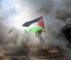 Pro-Palestine flag amid flames of war